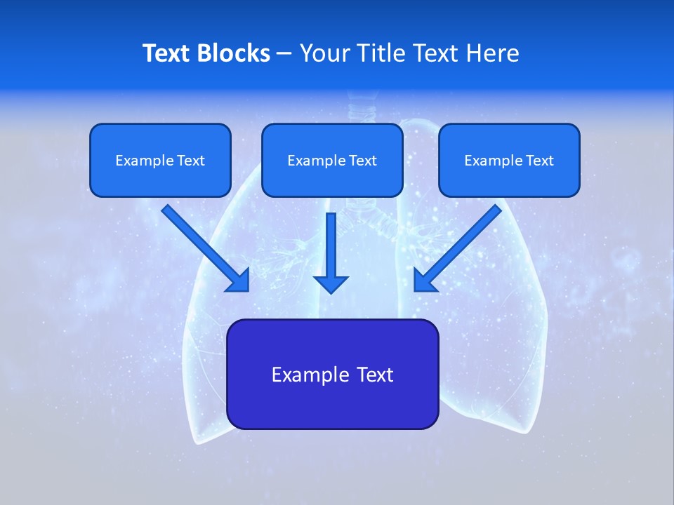 Section Lymph White PowerPoint Template