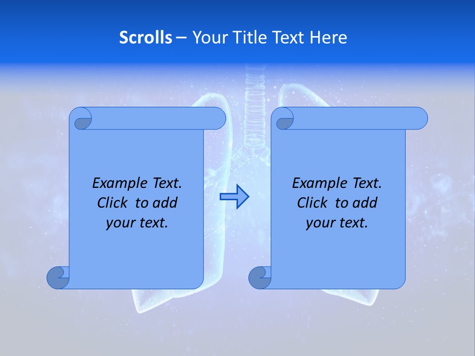 Section Lymph White PowerPoint Template