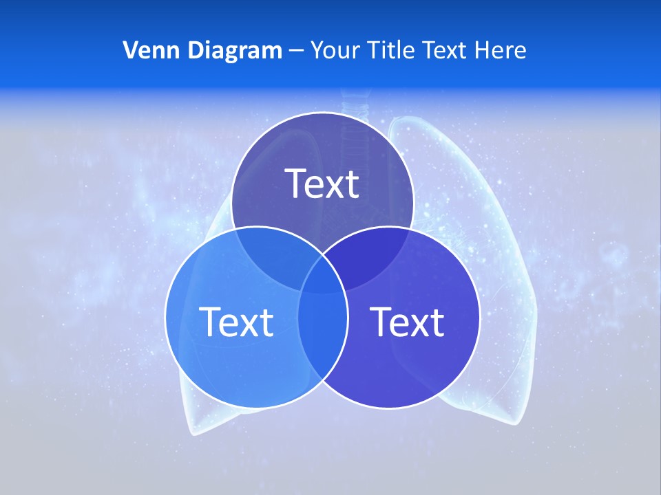 Section Lymph White PowerPoint Template