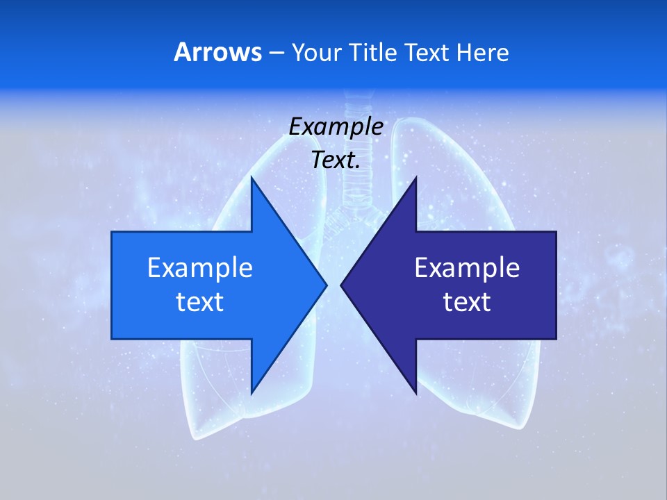 Section Lymph White PowerPoint Template