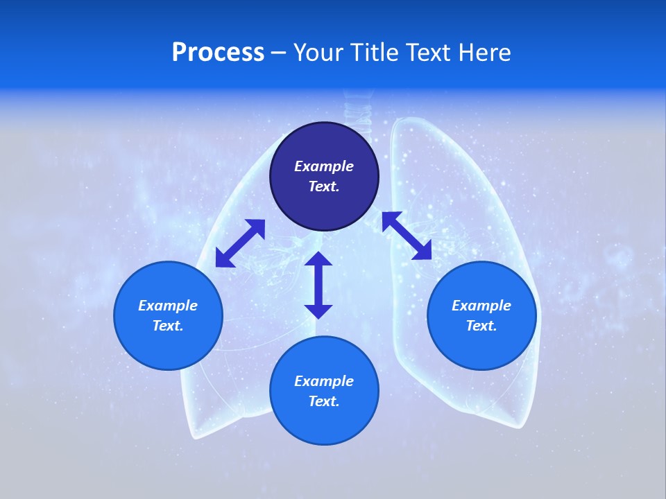 Section Lymph White PowerPoint Template