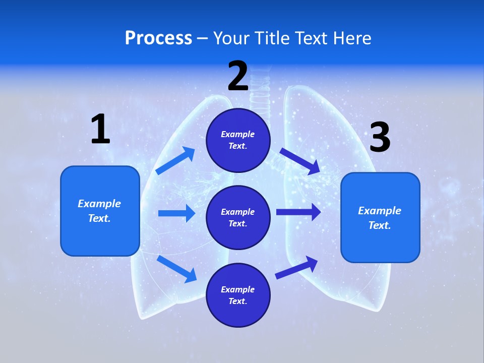 Section Lymph White PowerPoint Template