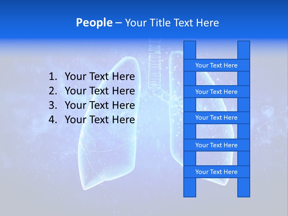 Section Lymph White PowerPoint Template