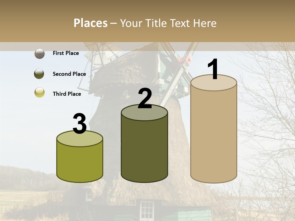 Tree Leaf Baltic Sea PowerPoint Template