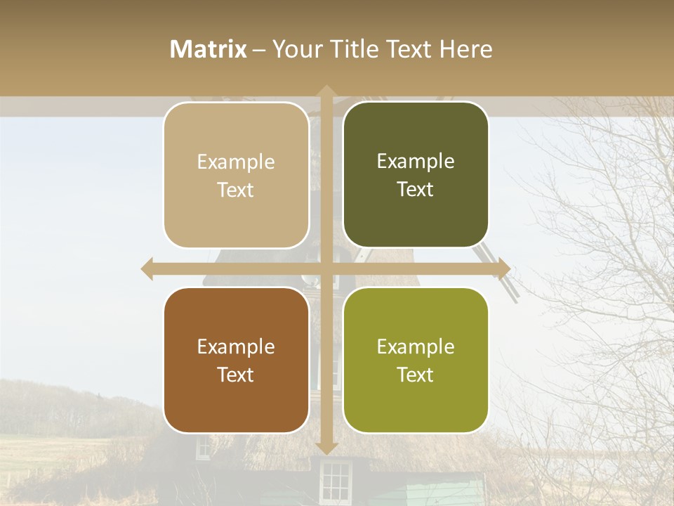 Tree Leaf Baltic Sea PowerPoint Template