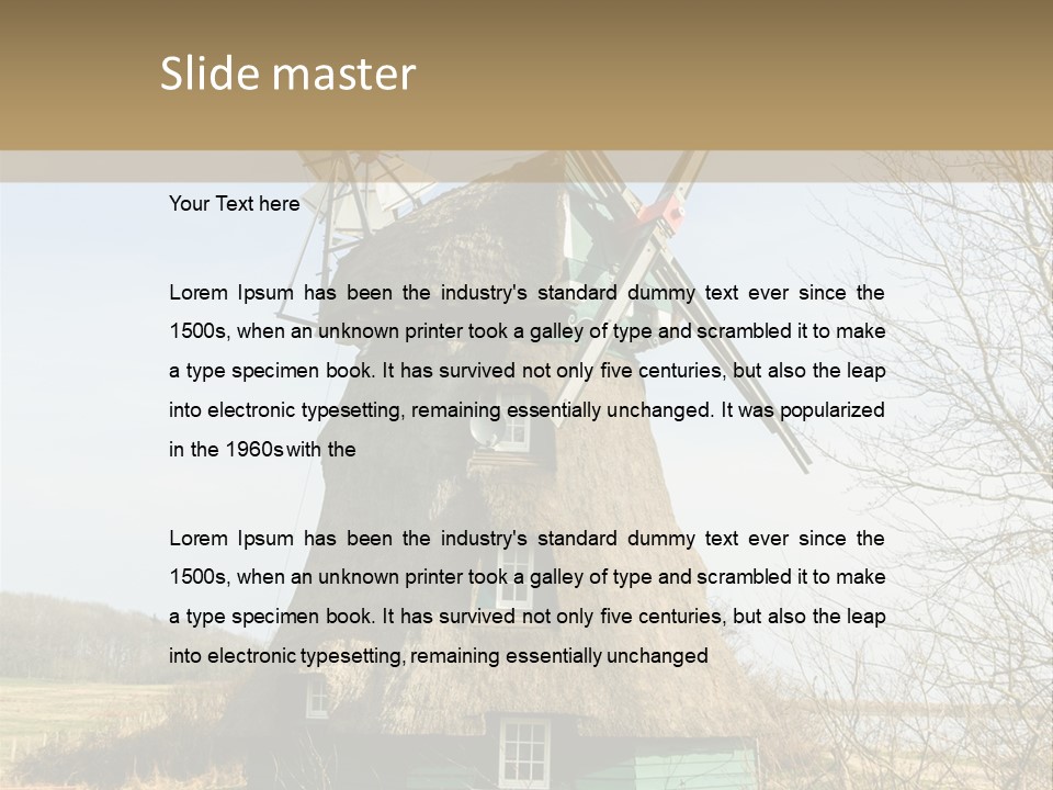 Tree Leaf Baltic Sea PowerPoint Template