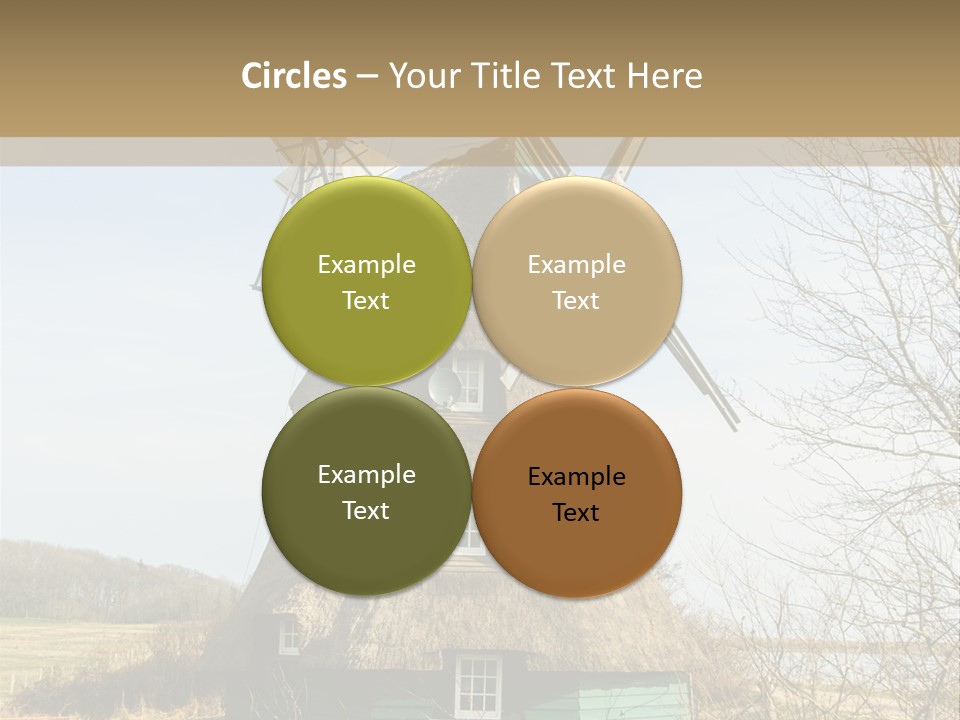 Tree Leaf Baltic Sea PowerPoint Template