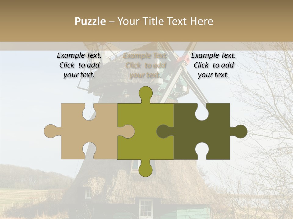 Tree Leaf Baltic Sea PowerPoint Template