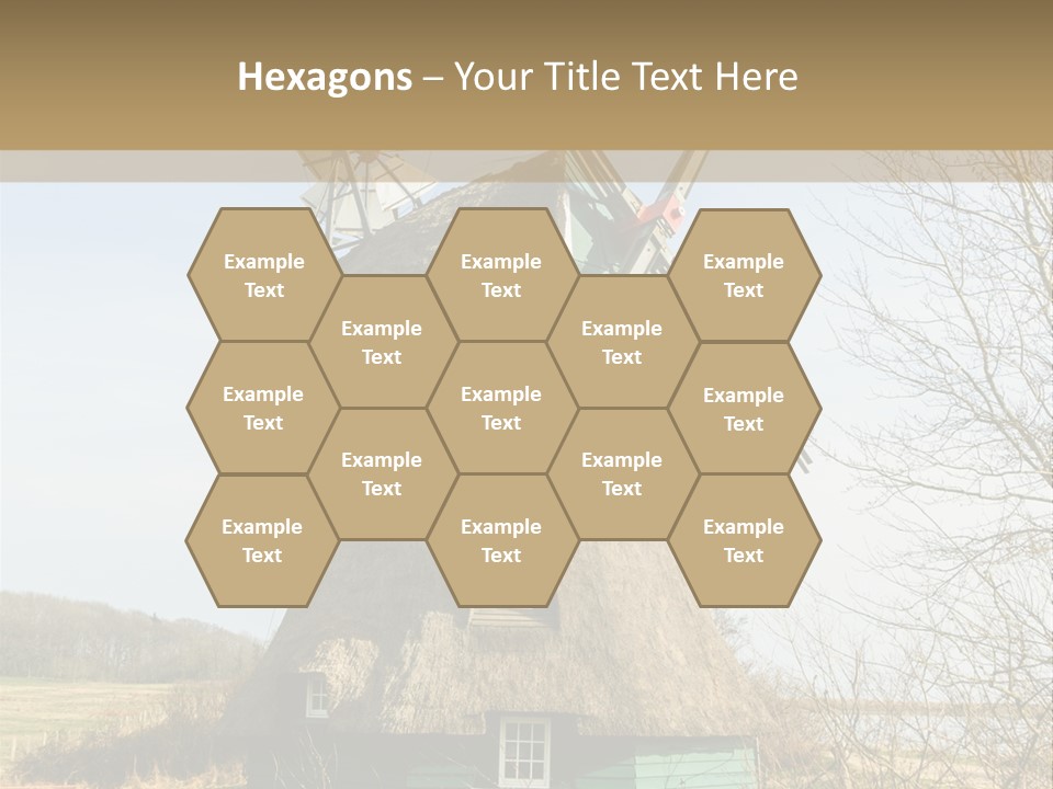 Tree Leaf Baltic Sea PowerPoint Template