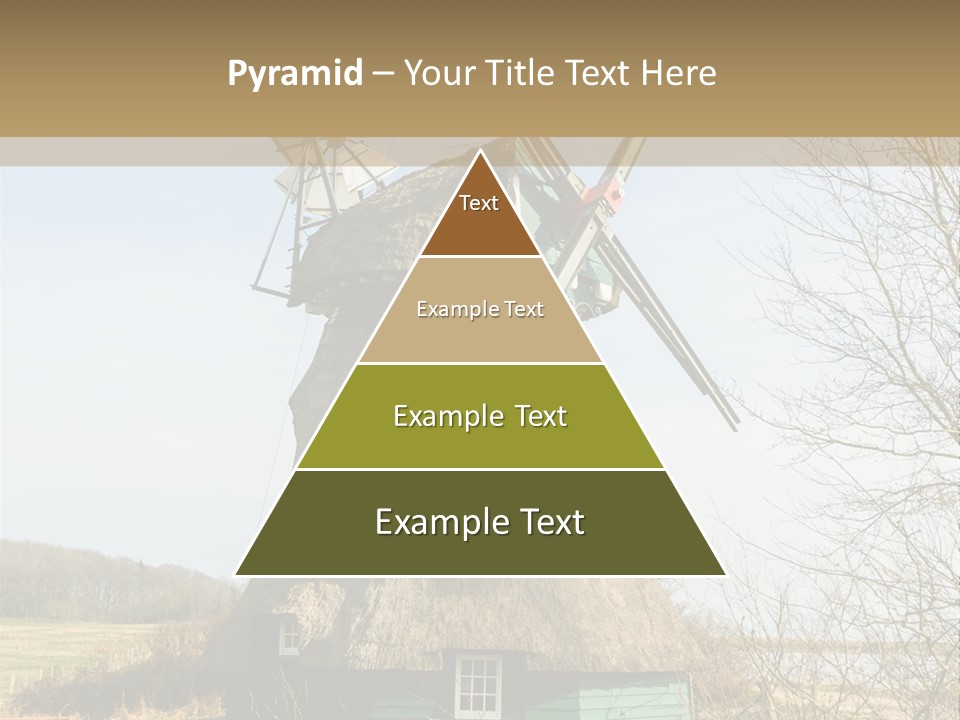 Tree Leaf Baltic Sea PowerPoint Template