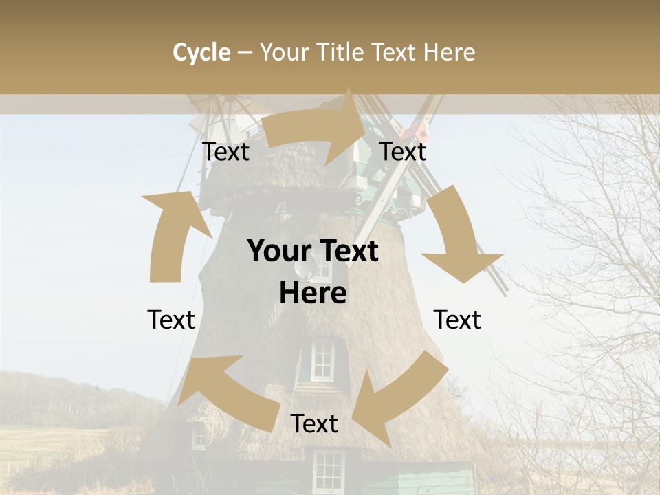 Tree Leaf Baltic Sea PowerPoint Template