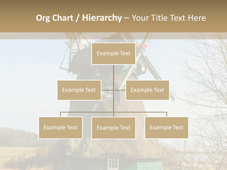 Tree Leaf Baltic Sea PowerPoint Template