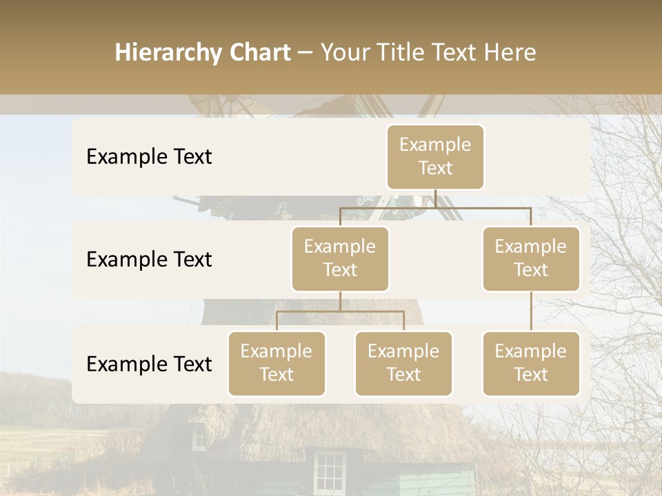 Tree Leaf Baltic Sea PowerPoint Template