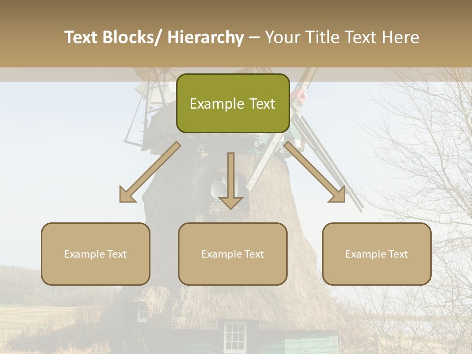 Tree Leaf Baltic Sea PowerPoint Template