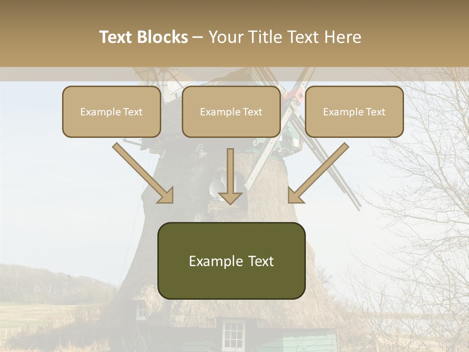 Tree Leaf Baltic Sea PowerPoint Template