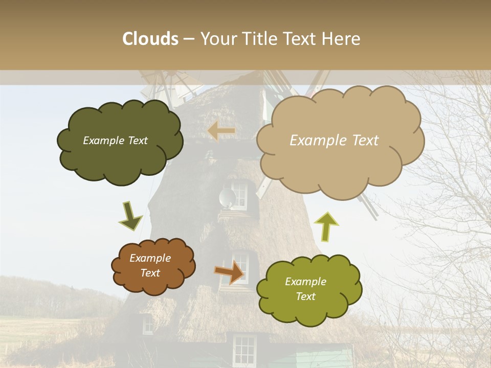Tree Leaf Baltic Sea PowerPoint Template
