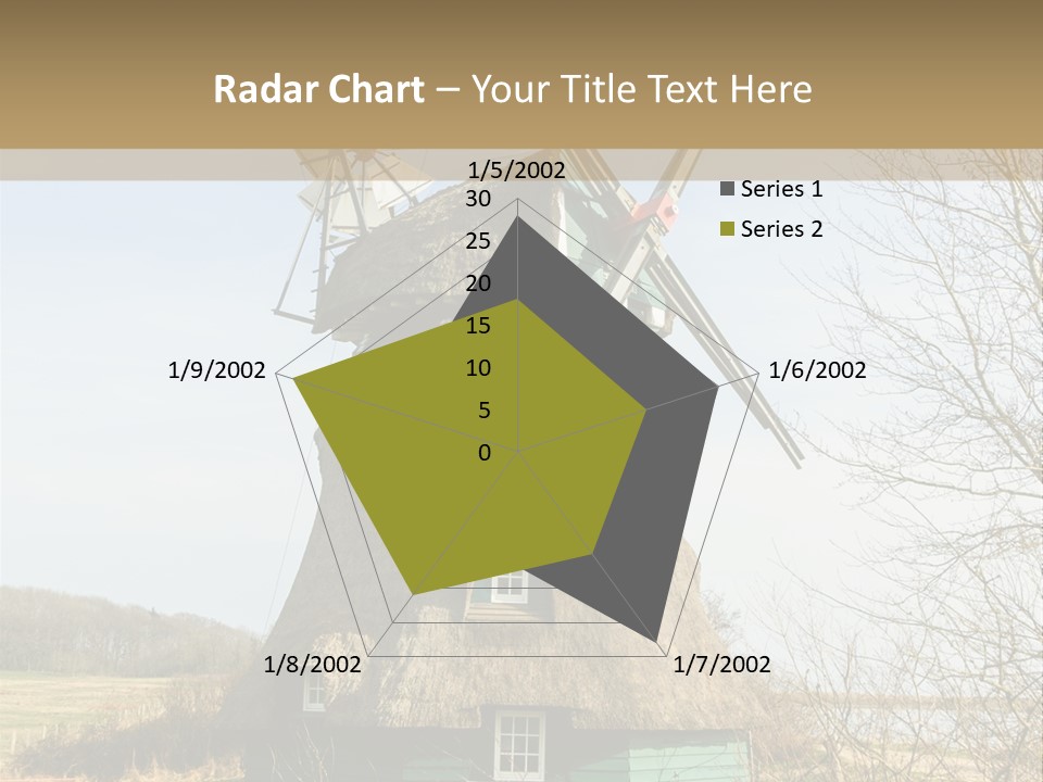 Tree Leaf Baltic Sea PowerPoint Template