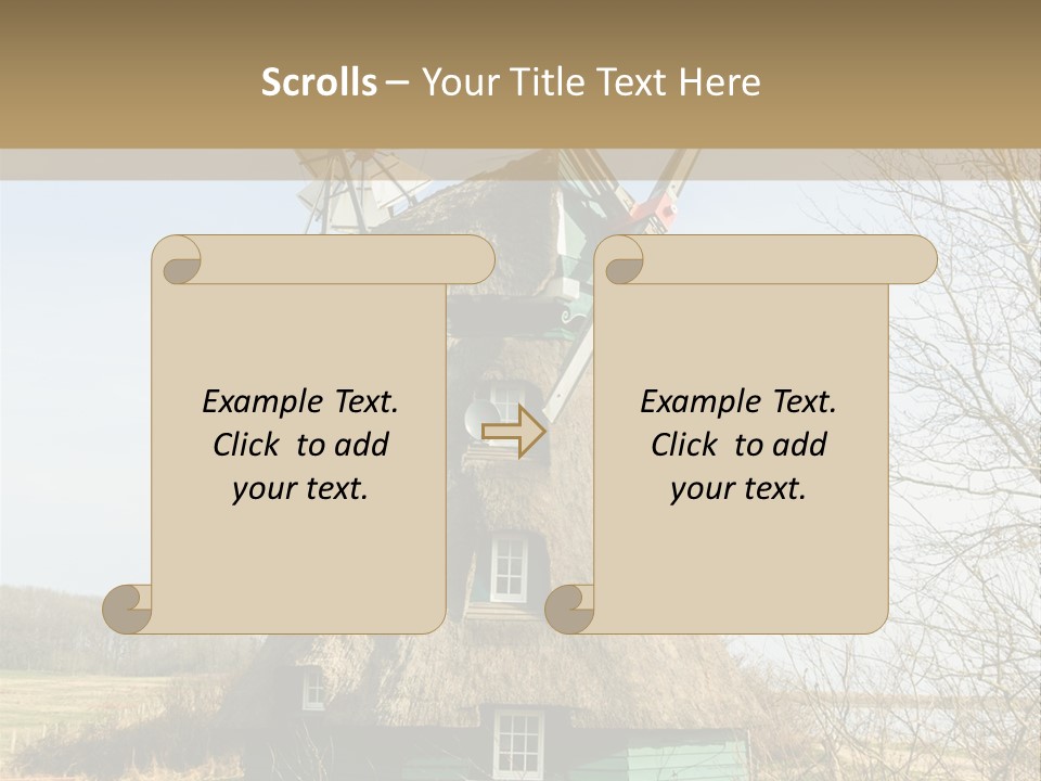 Tree Leaf Baltic Sea PowerPoint Template