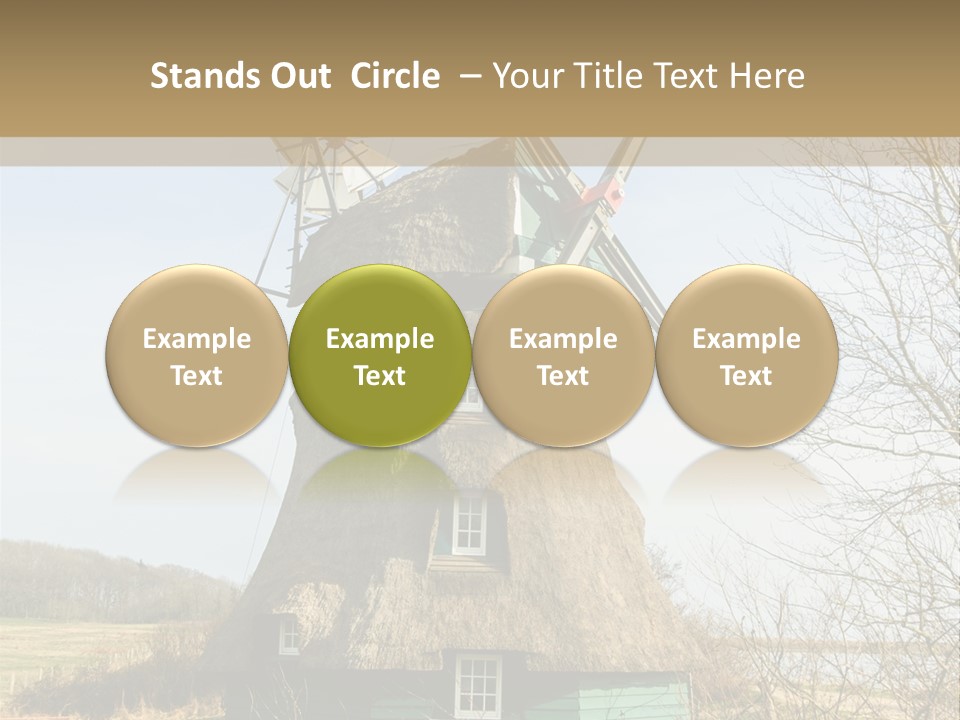 Tree Leaf Baltic Sea PowerPoint Template