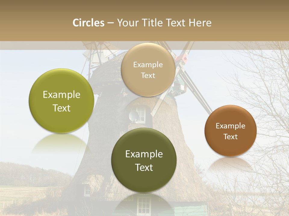 Tree Leaf Baltic Sea PowerPoint Template