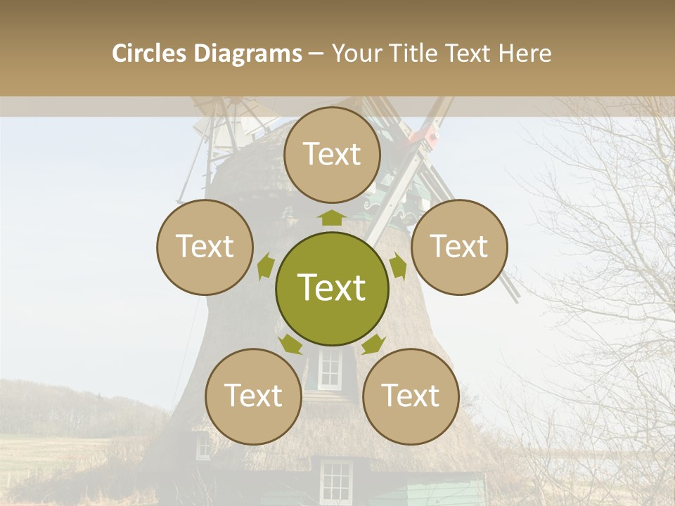 Tree Leaf Baltic Sea PowerPoint Template