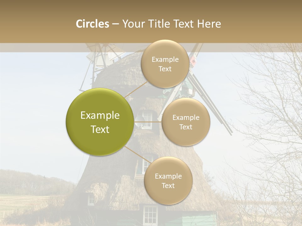 Tree Leaf Baltic Sea PowerPoint Template