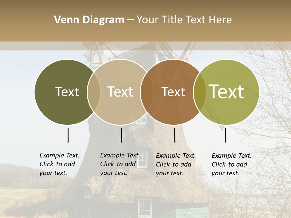 Tree Leaf Baltic Sea PowerPoint Template