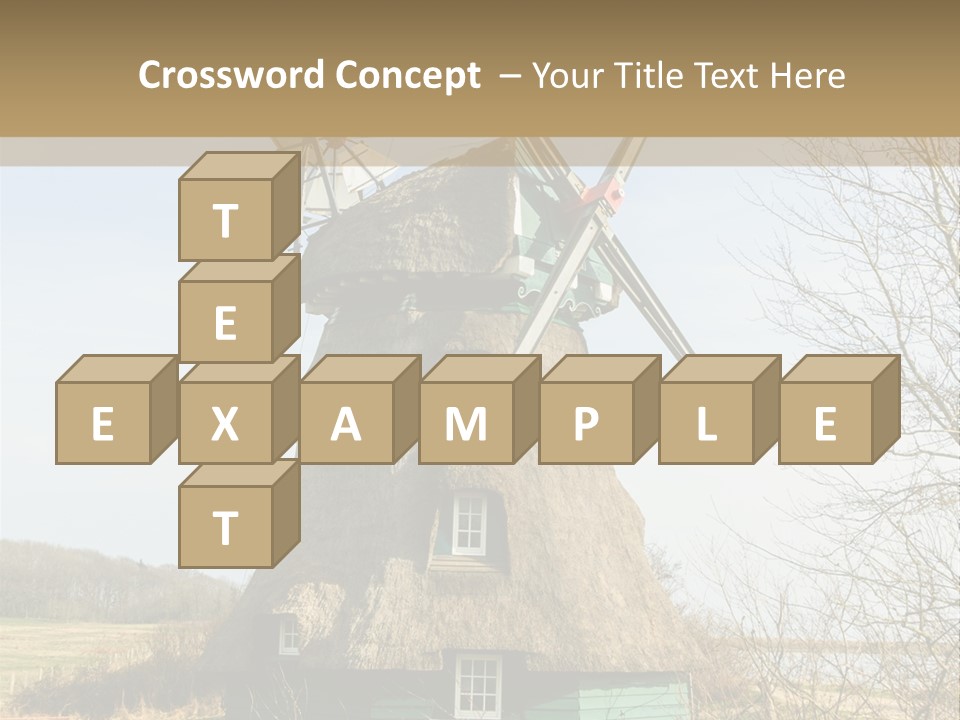 Tree Leaf Baltic Sea PowerPoint Template