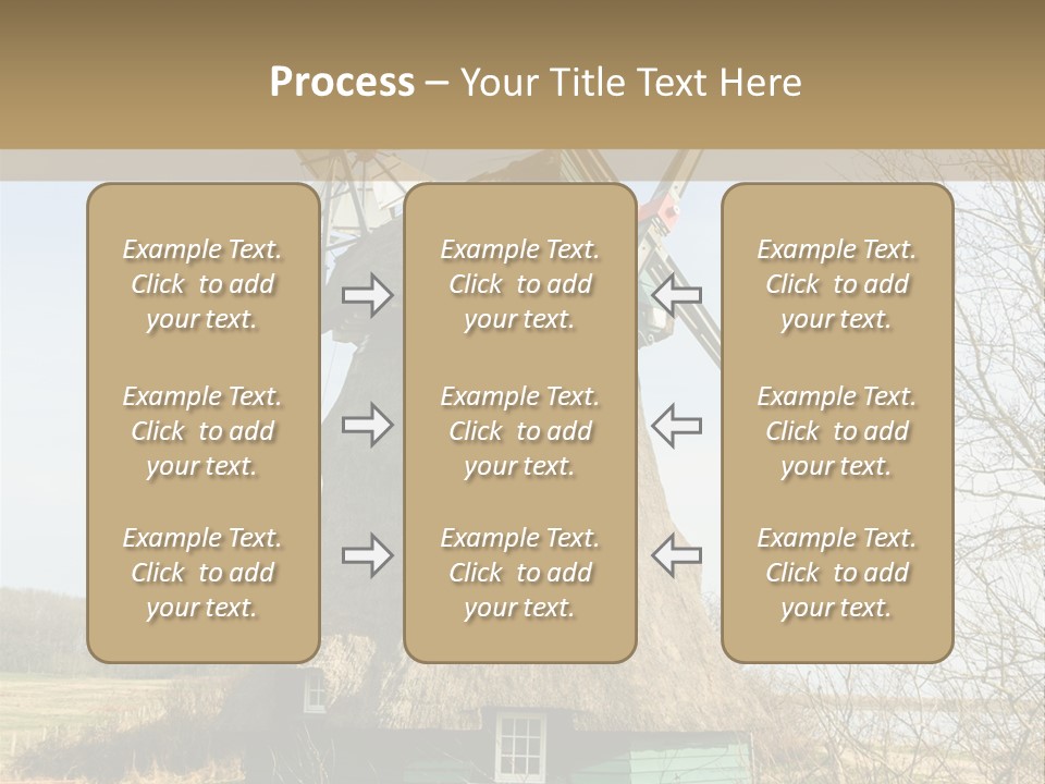 Tree Leaf Baltic Sea PowerPoint Template