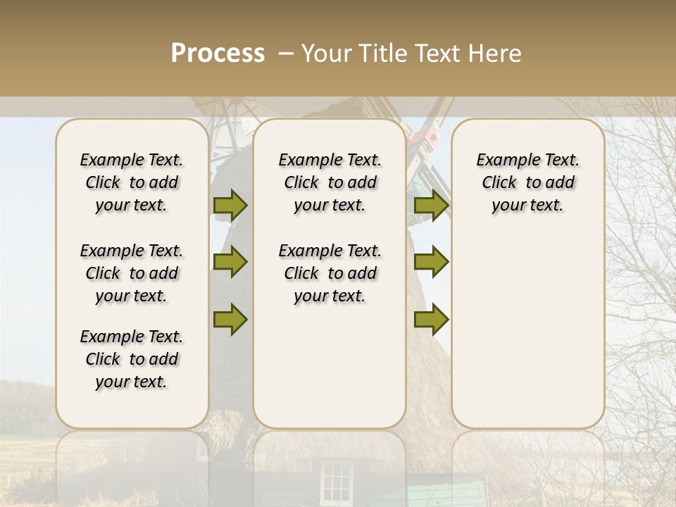 Tree Leaf Baltic Sea PowerPoint Template