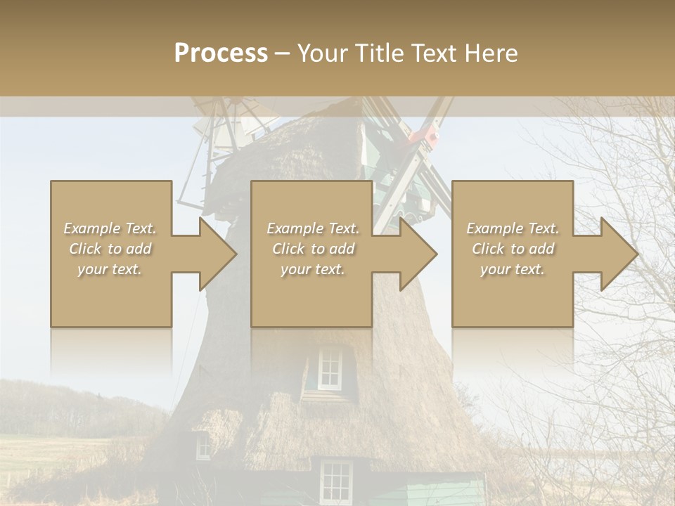 Tree Leaf Baltic Sea PowerPoint Template