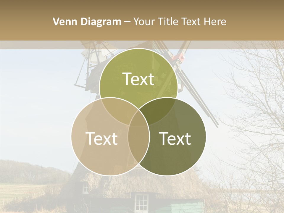 Tree Leaf Baltic Sea PowerPoint Template