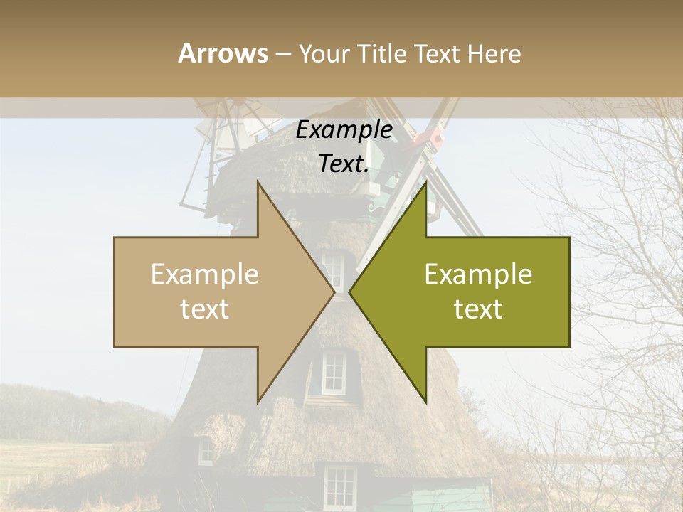 Tree Leaf Baltic Sea PowerPoint Template