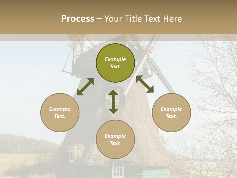 Tree Leaf Baltic Sea PowerPoint Template