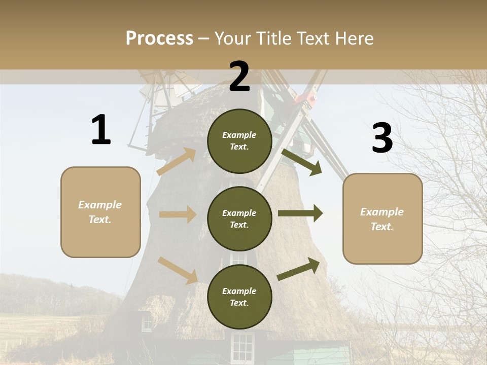 Tree Leaf Baltic Sea PowerPoint Template