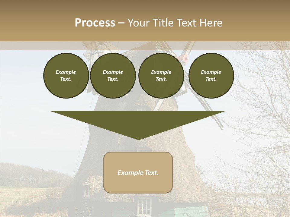 Tree Leaf Baltic Sea PowerPoint Template