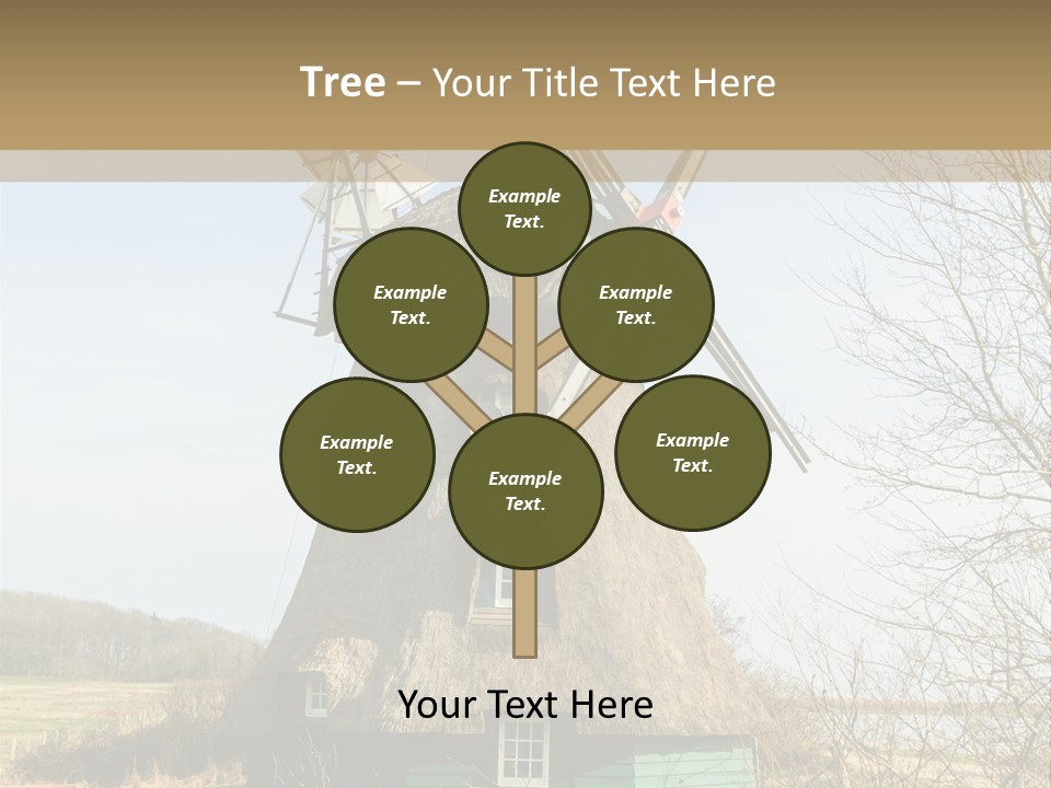 Tree Leaf Baltic Sea PowerPoint Template