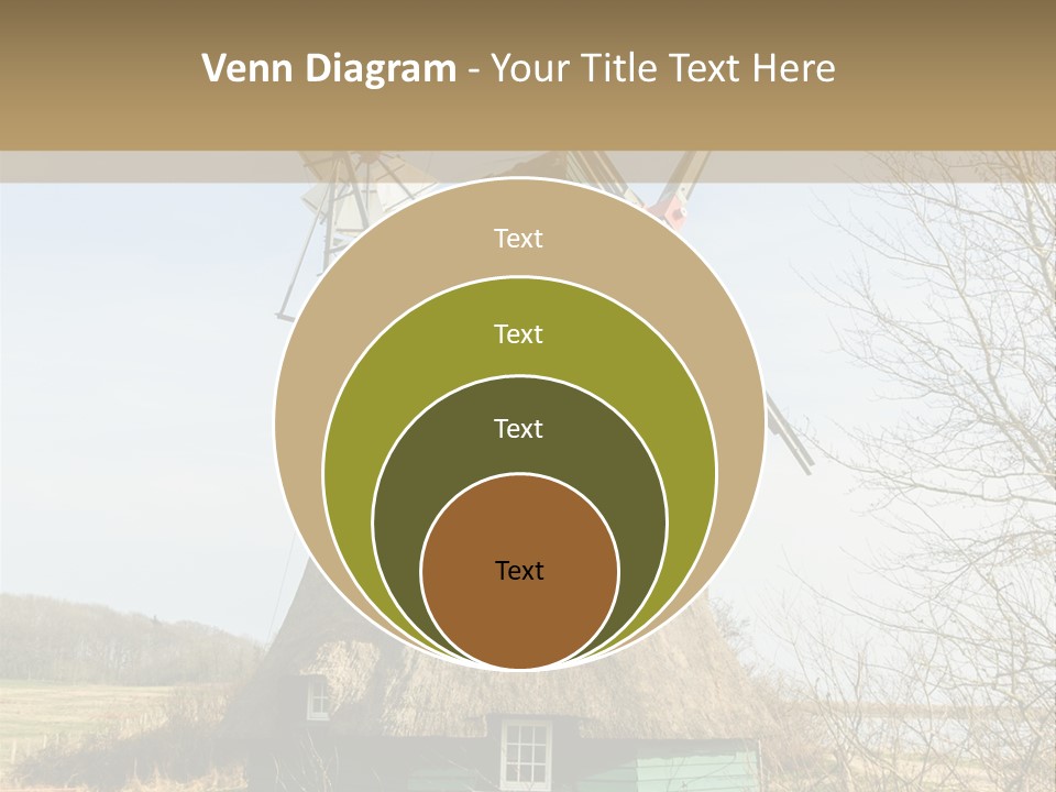 Tree Leaf Baltic Sea PowerPoint Template