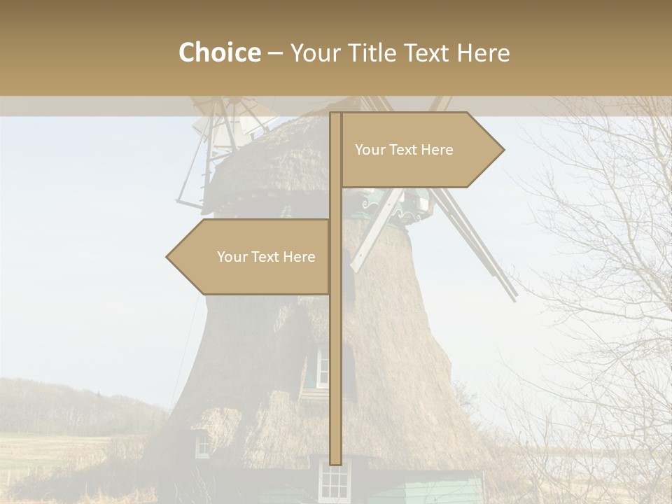 Tree Leaf Baltic Sea PowerPoint Template