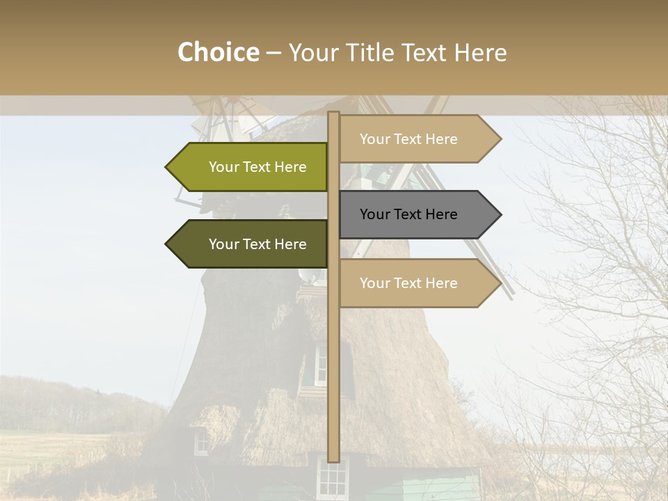 Tree Leaf Baltic Sea PowerPoint Template