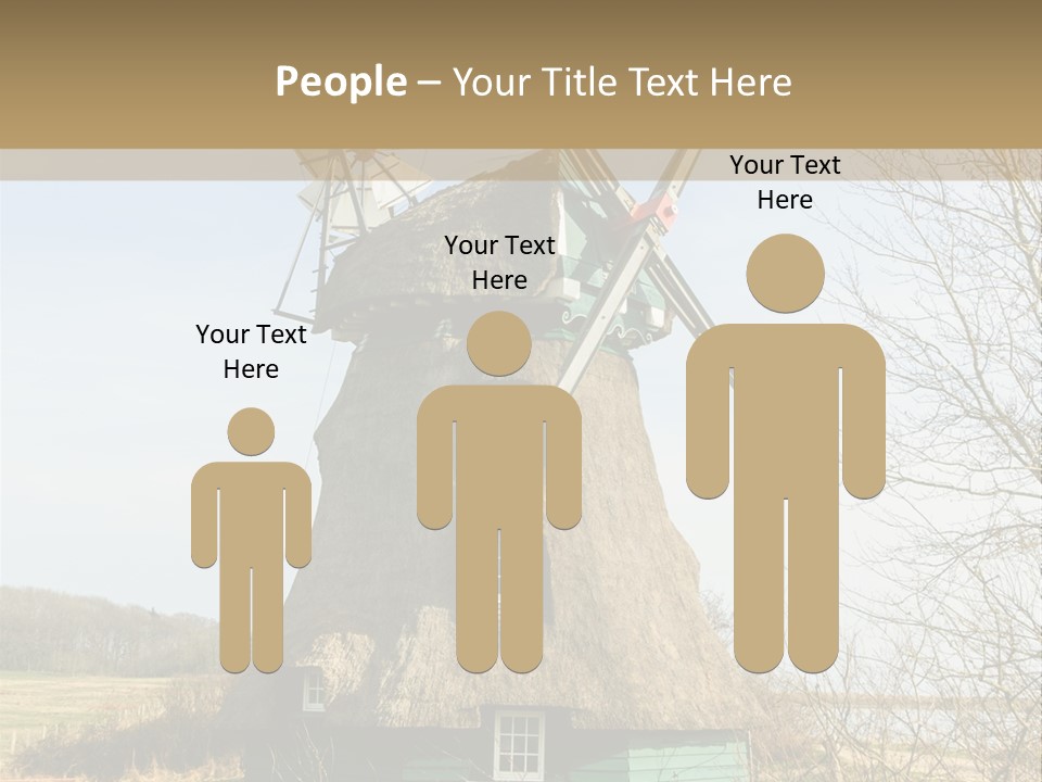 Tree Leaf Baltic Sea PowerPoint Template