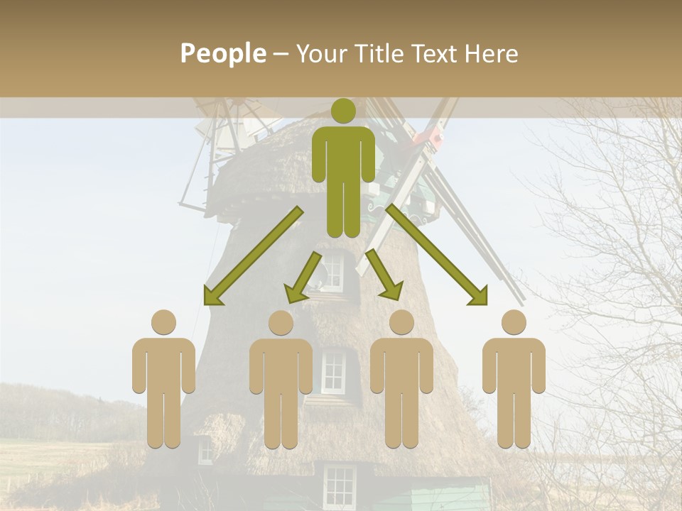 Tree Leaf Baltic Sea PowerPoint Template