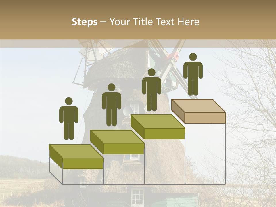 Tree Leaf Baltic Sea PowerPoint Template