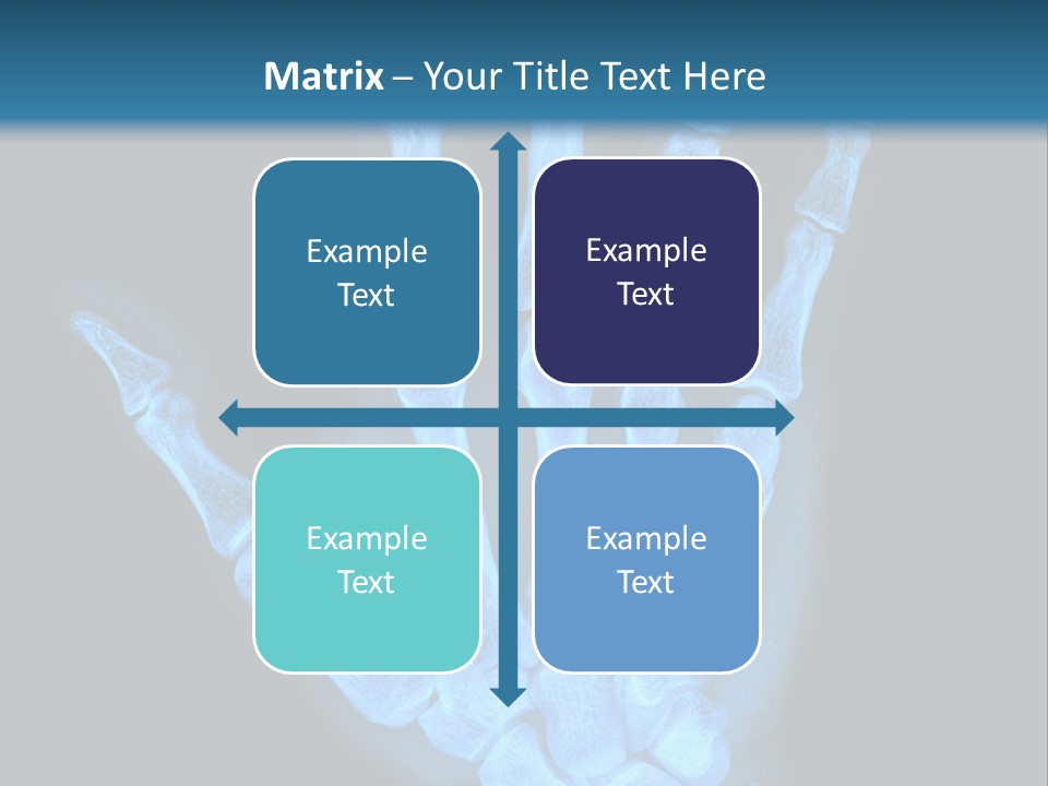 Film Science Skeletal PowerPoint Template