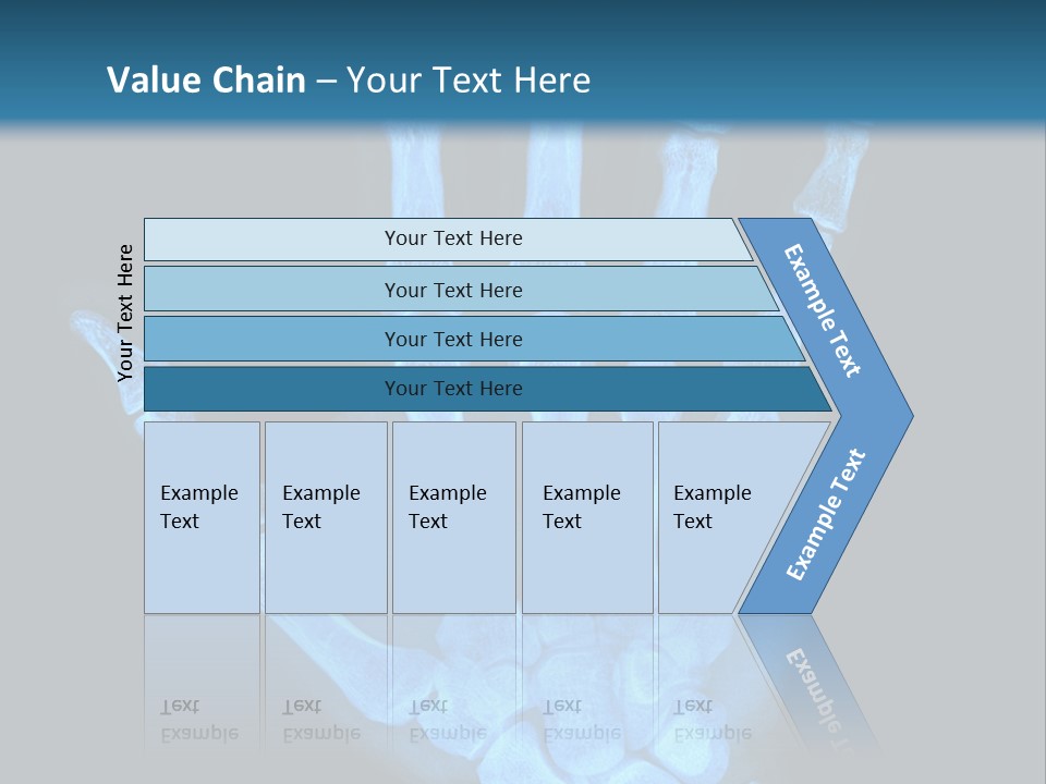 Film Science Skeletal PowerPoint Template