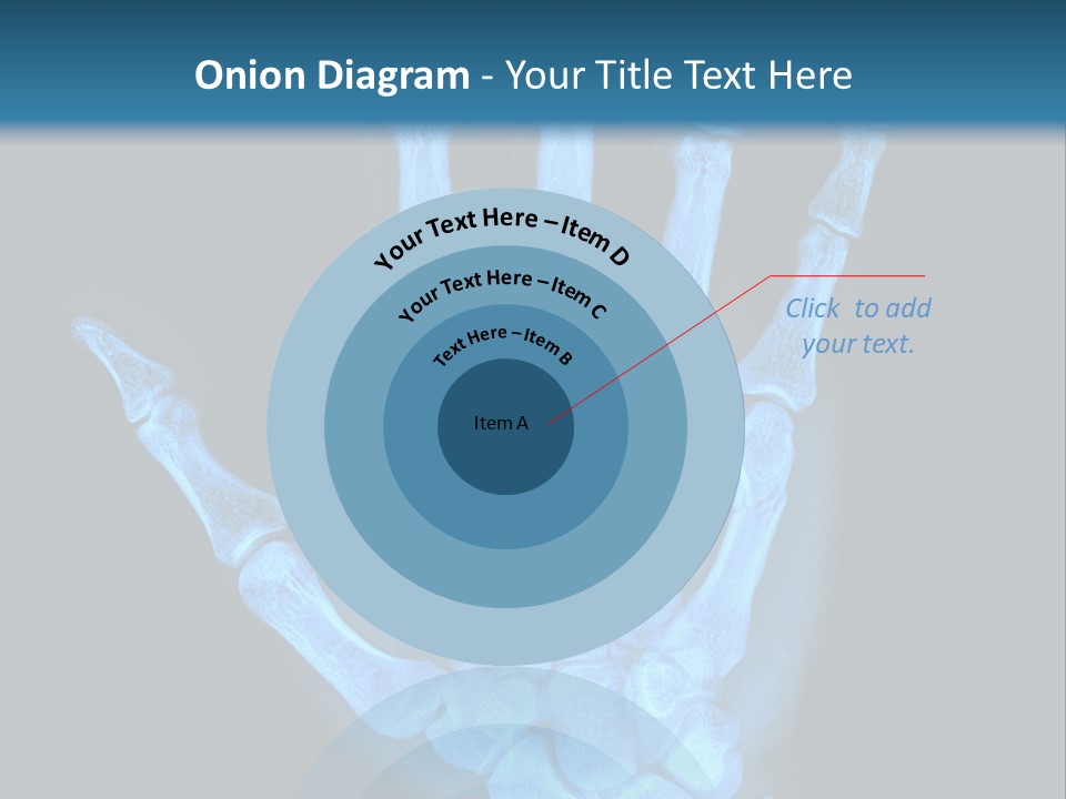 Film Science Skeletal PowerPoint Template