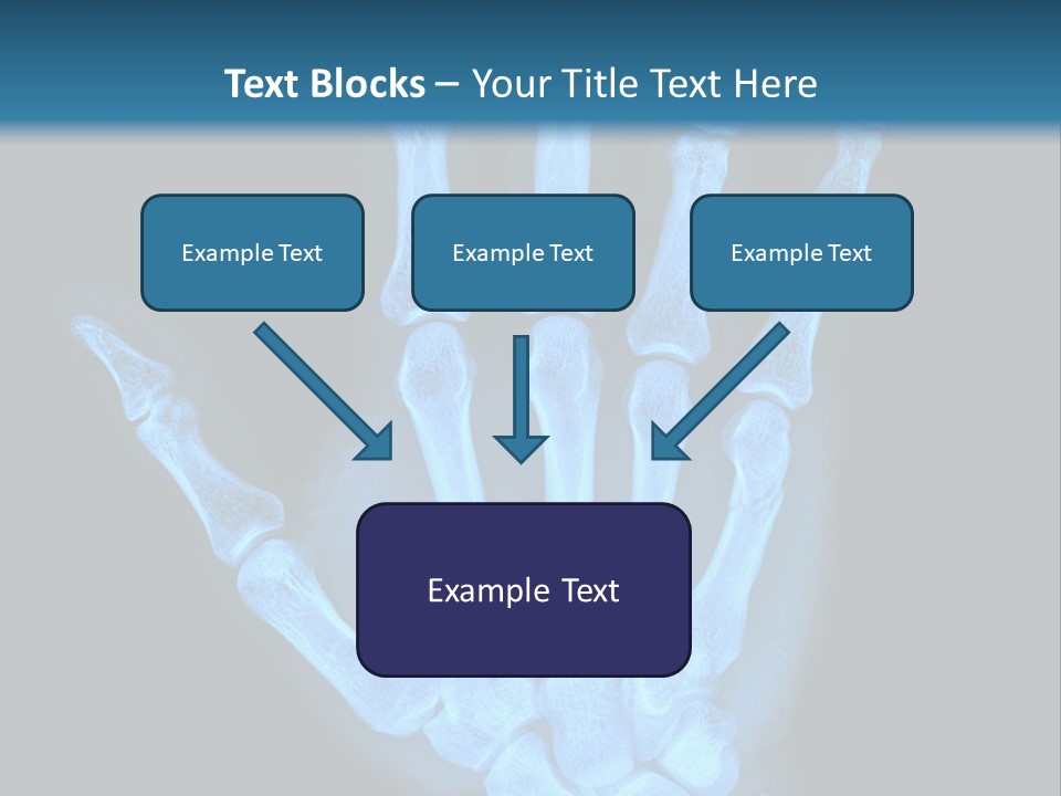 Film Science Skeletal PowerPoint Template