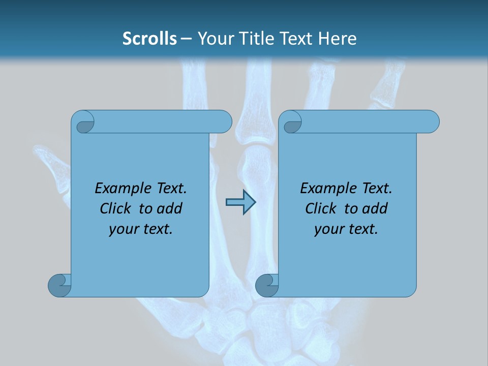 Film Science Skeletal PowerPoint Template