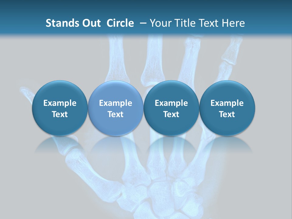 Film Science Skeletal PowerPoint Template