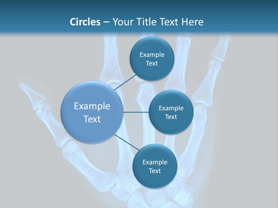 Film Science Skeletal PowerPoint Template
